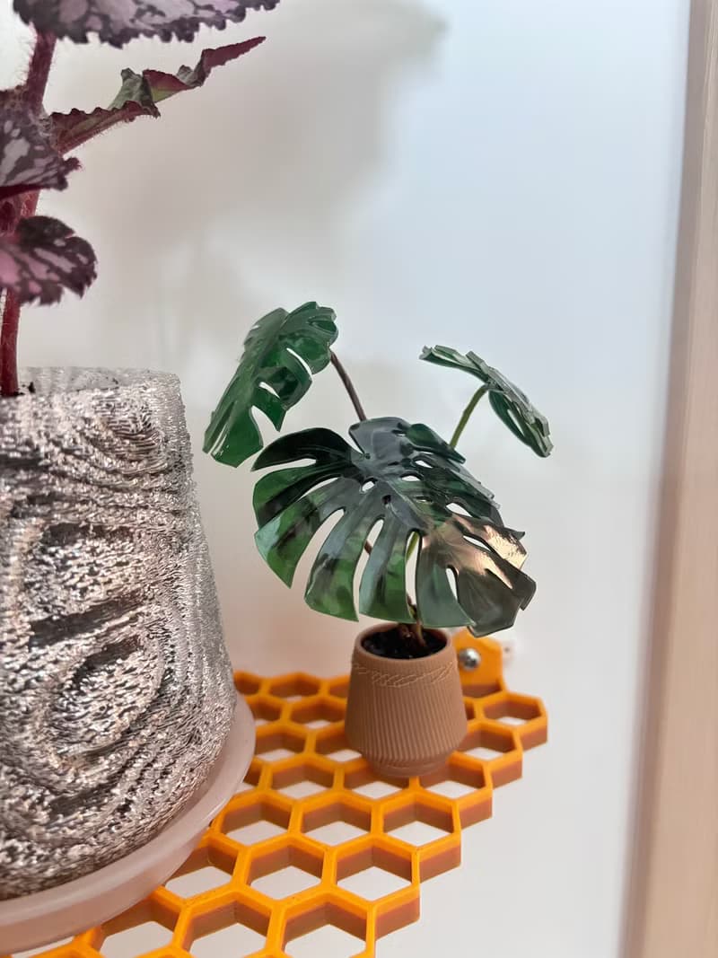 原創微縮龜背竹擺件