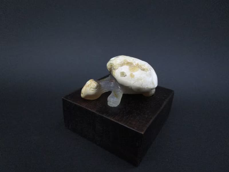 雕件 逗樂動物-長頸龜 印尼黃皮紅玉髓