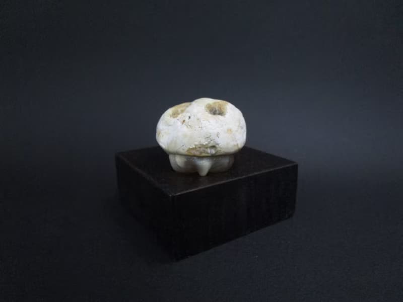 雕件 逗樂動物-長頸龜 印尼黃皮紅玉髓