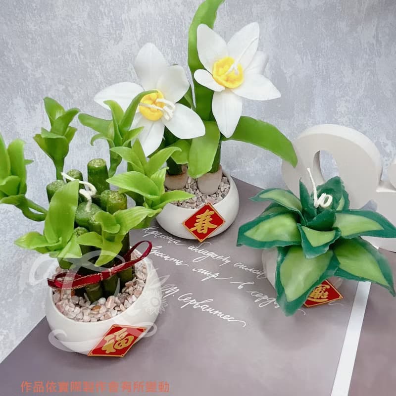 【體驗】【體驗課程】蠟燭捏塑-虎尾蘭盆栽
