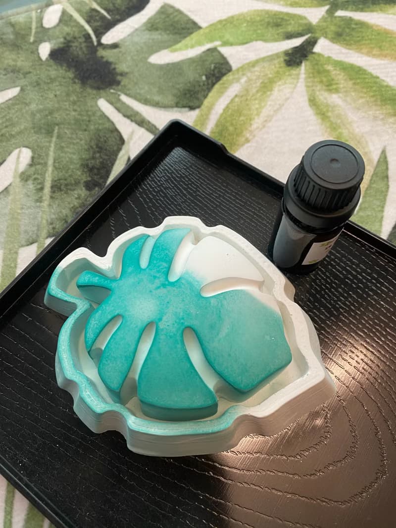 龜背芋擴香石 Monstera aroma stone