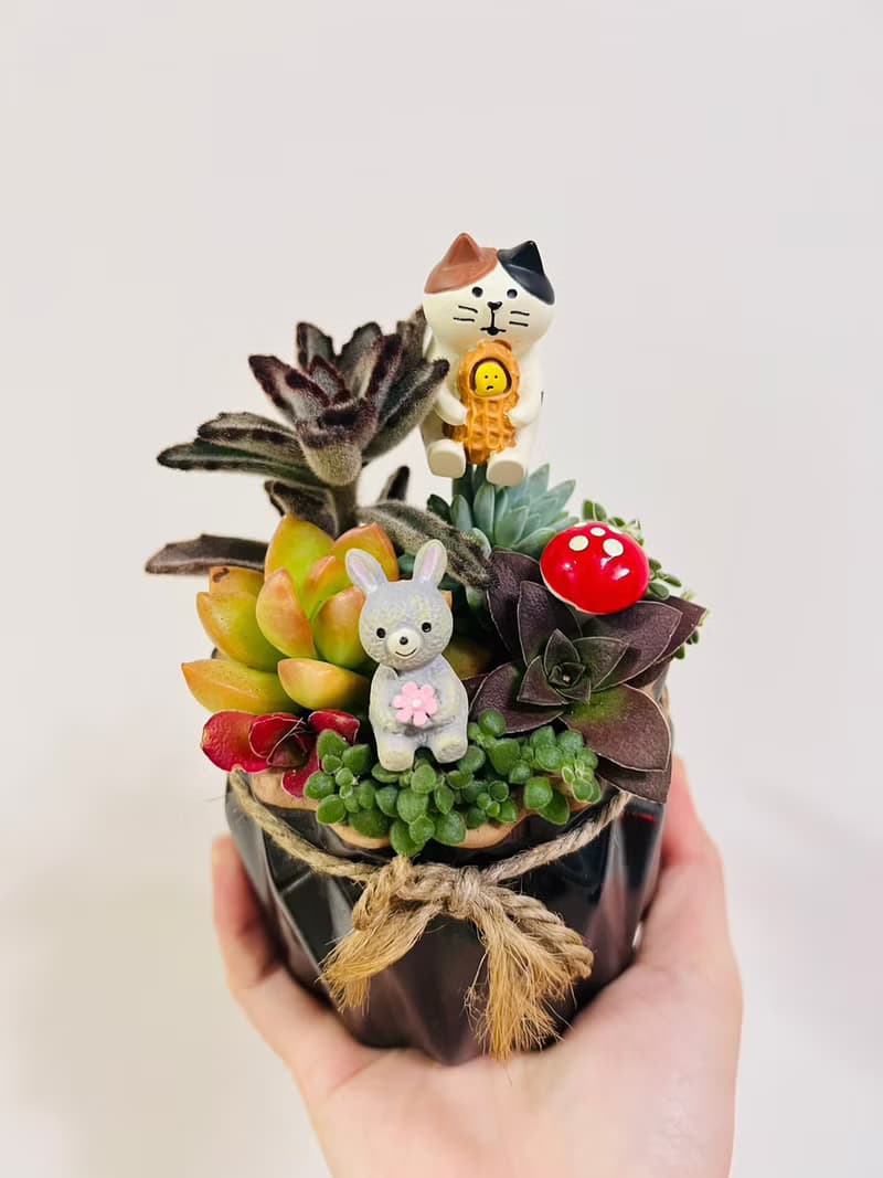 送禮首選 3吋盆 好事發生(花生)花盆 交換禮物 辦公室禮