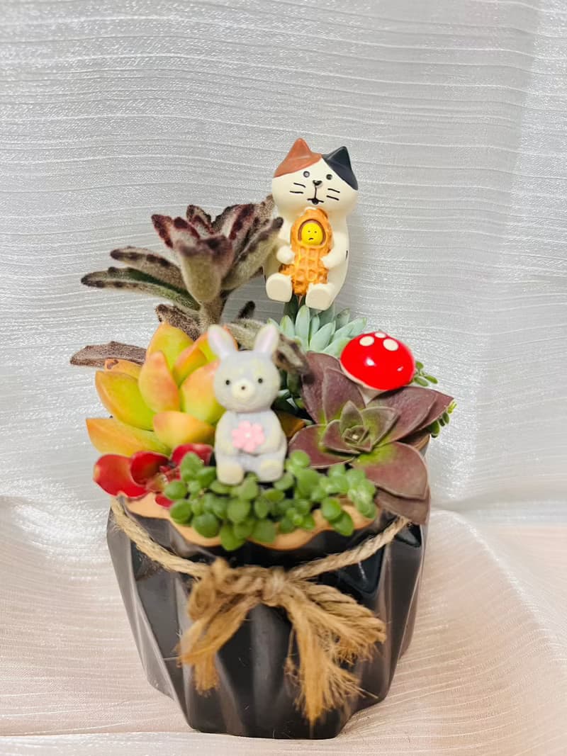 送禮首選 3吋盆 好事發生(花生)花盆 交換禮物 辦公室禮