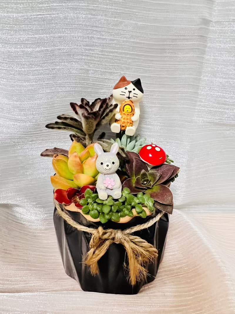 送禮首選 3吋盆 好事發生(花生)花盆 交換禮物 辦公室禮