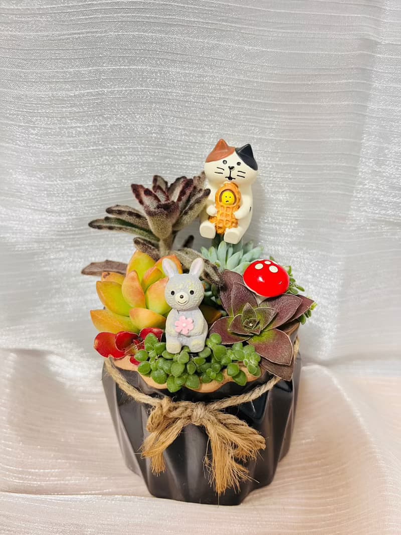 送禮首選 3吋盆 好事發生(花生)花盆 交換禮物 辦公室禮