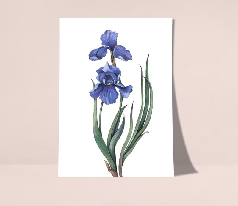 【數位】鳶尾花海報數位 JPEG 可列印牆面畫廊牆面藝術鳶尾花印刷品