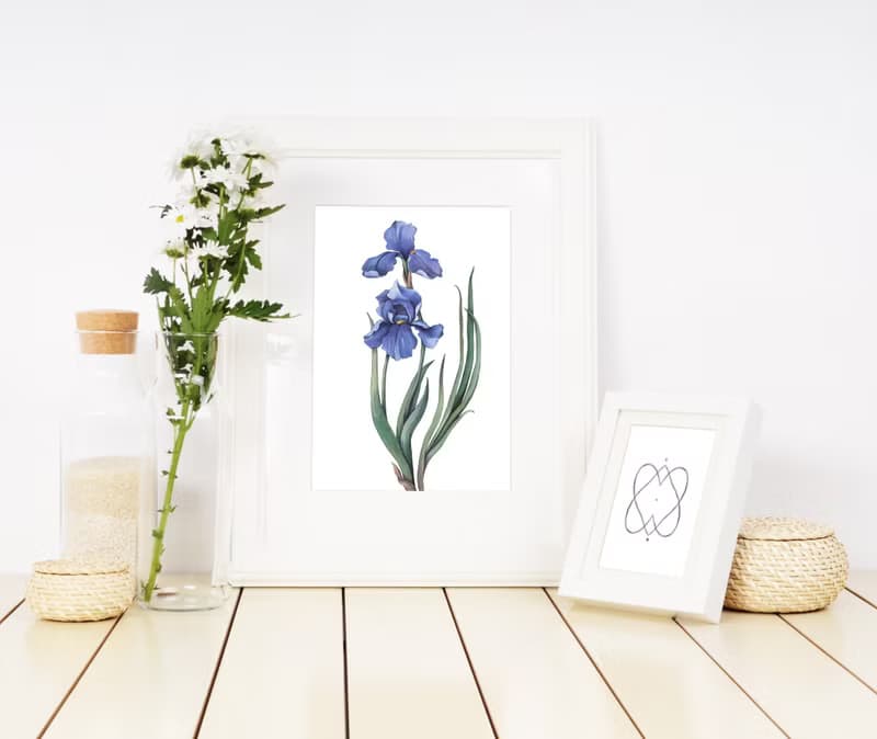 【數位】鳶尾花海報數位 JPEG 可列印牆面畫廊牆面藝術鳶尾花印刷品