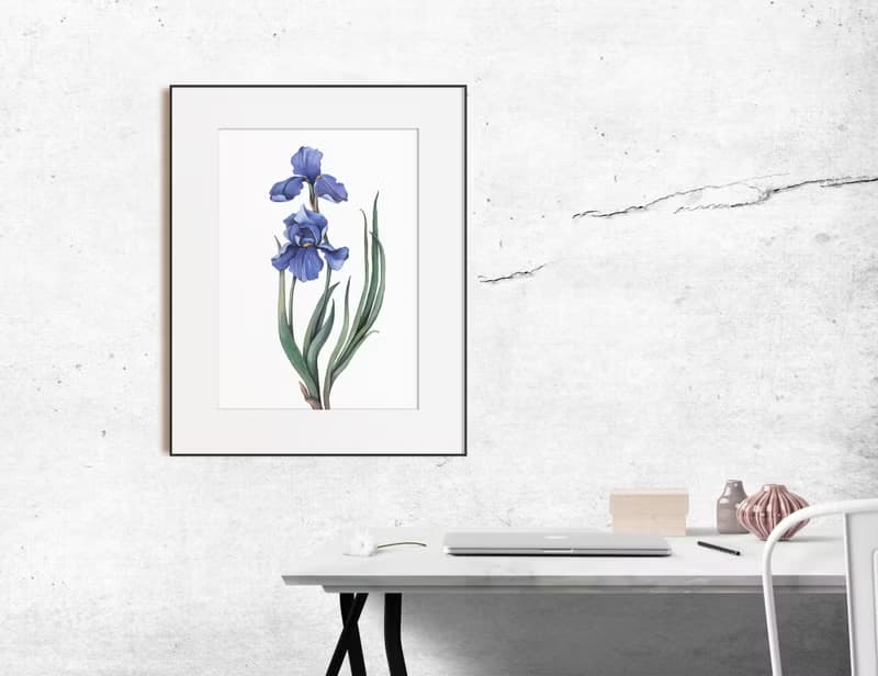 【數位】鳶尾花海報數位 JPEG 可列印牆面畫廊牆面藝術鳶尾花印刷品