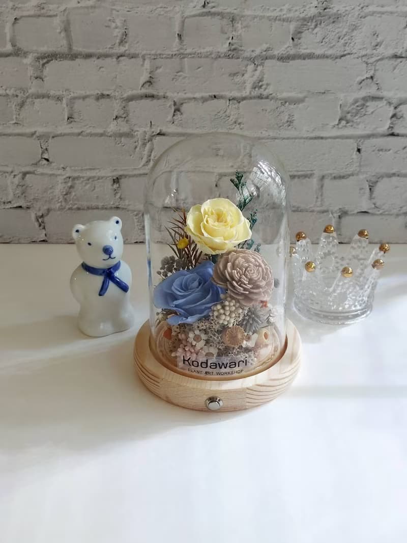 永生花玻璃罩.花盅小夜燈 祝賀花禮 生日.聖誕節.升遷.卡扣式