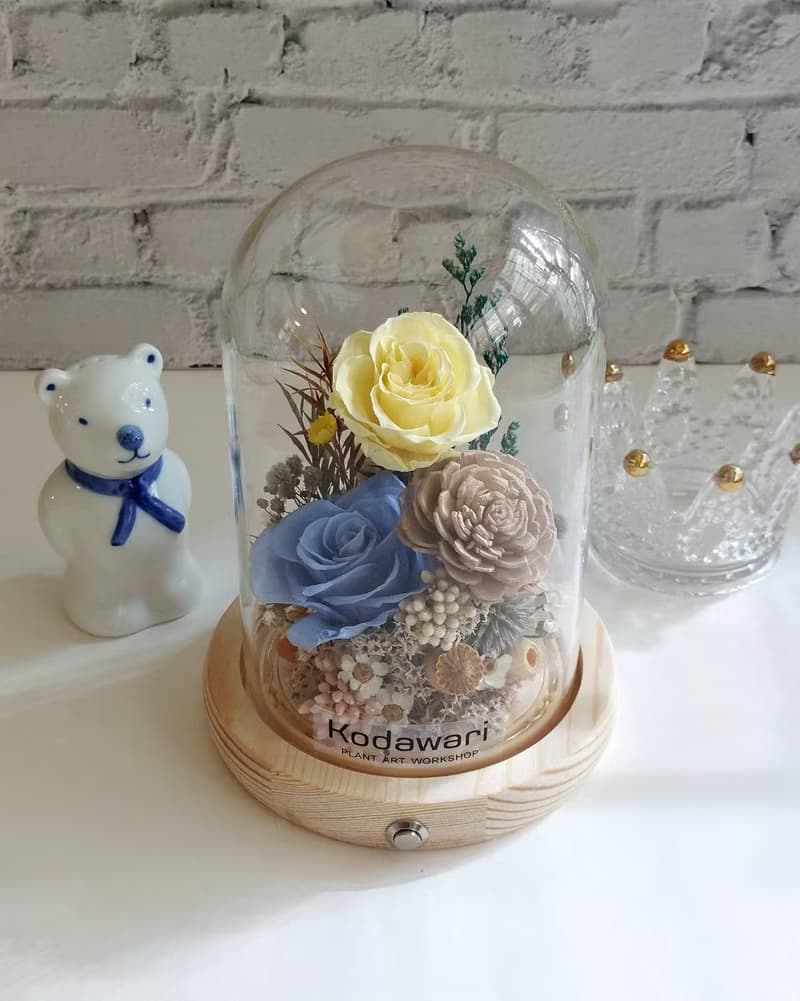 永生花玻璃罩.花盅小夜燈 祝賀花禮 生日.聖誕節.升遷.卡扣式
