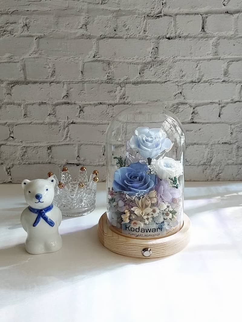 永生花玻璃罩.花盅小夜燈 祝賀花禮 生日.聖誕節.升遷.卡扣式