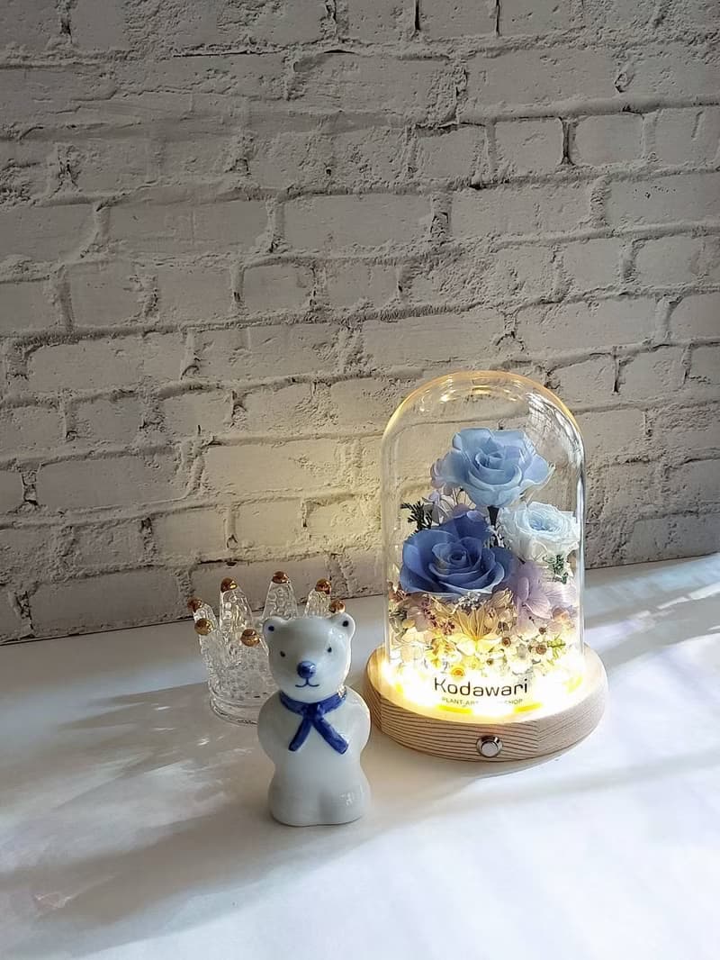 永生花玻璃罩.花盅小夜燈 祝賀花禮 生日.聖誕節.升遷.卡扣式