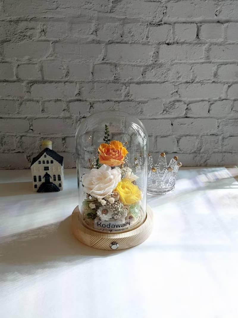 永生花玻璃罩.花盅小夜燈 祝賀花禮 生日.聖誕節.升遷.卡扣式