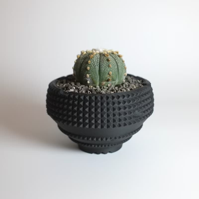 CBP004植木鉢 原創設計/3D列印/多肉塊根植物/盆器盆栽/送禮