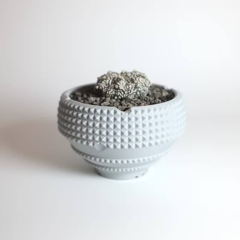 CBP004植木鉢 原創設計/3D列印/多肉塊根植物/盆器盆栽/送禮