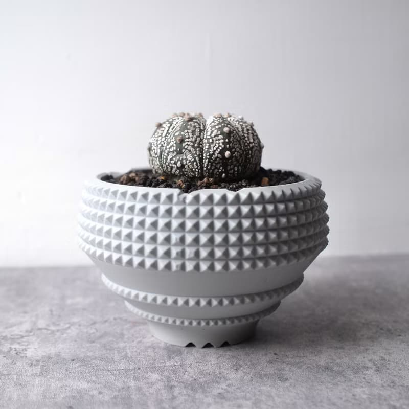 CBP004植木鉢 原創設計/3D列印/多肉塊根植物/盆器盆栽/送禮