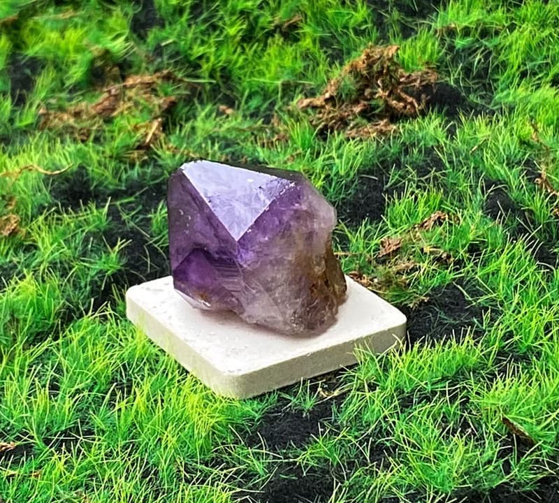 能量擺飾-天然紫晶骨幹 紫水晶 招財 智慧 開運 快速出貨