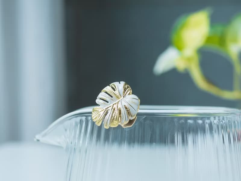 Monstera 龜背芋 * 植物系別針