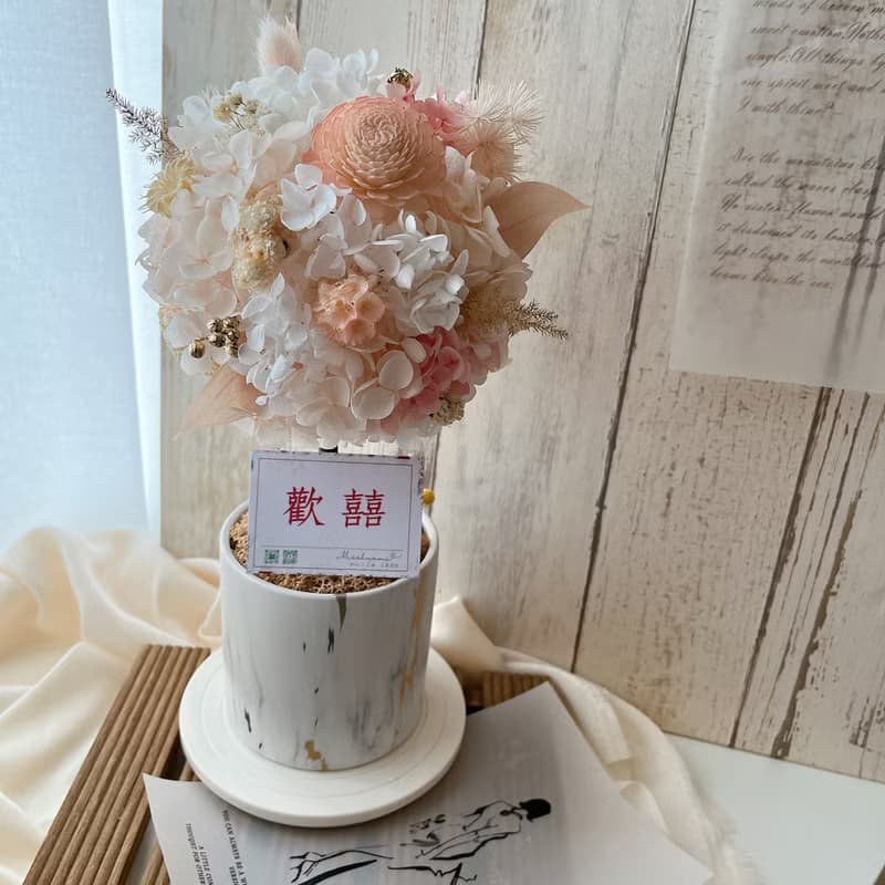 Miss。花謎 【初心】花球樹 小圓樹 開幕花禮 盆花 名片座
