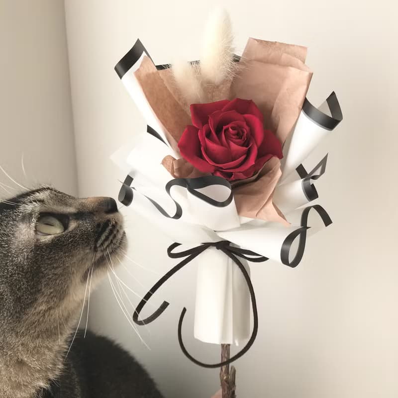 單朵永生花玫瑰花束 畢業花束 情人節花束 生日 週年 求婚