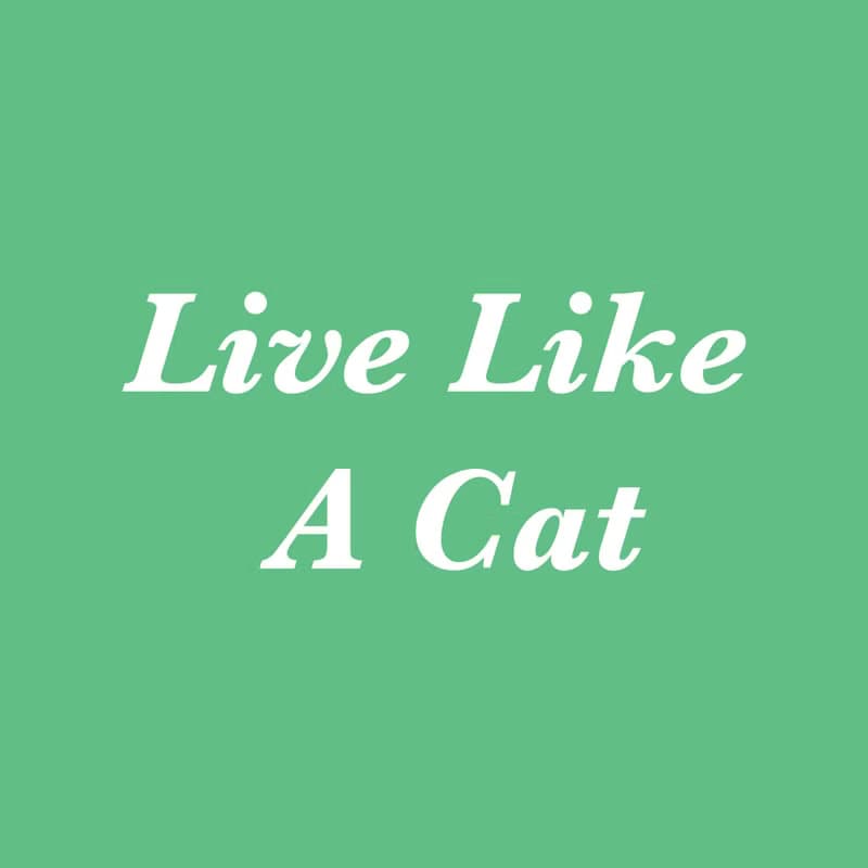 TOBYBLACK LIVE LIKE A CAT 中性衛衣 by Toby Black