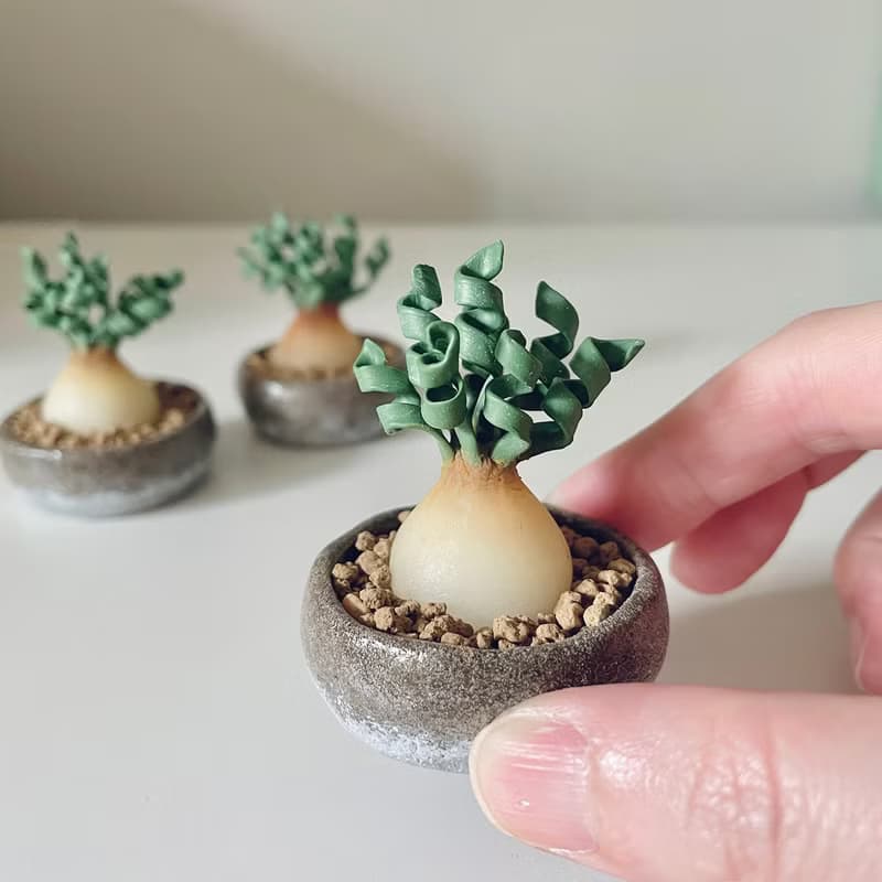 接單製作款 迷你彈簧草盆栽。迷你黏土塊根植物擺件