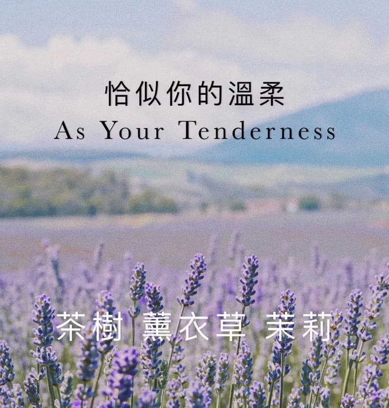 恰似你的溫柔 I TheHours香氛蠟燭