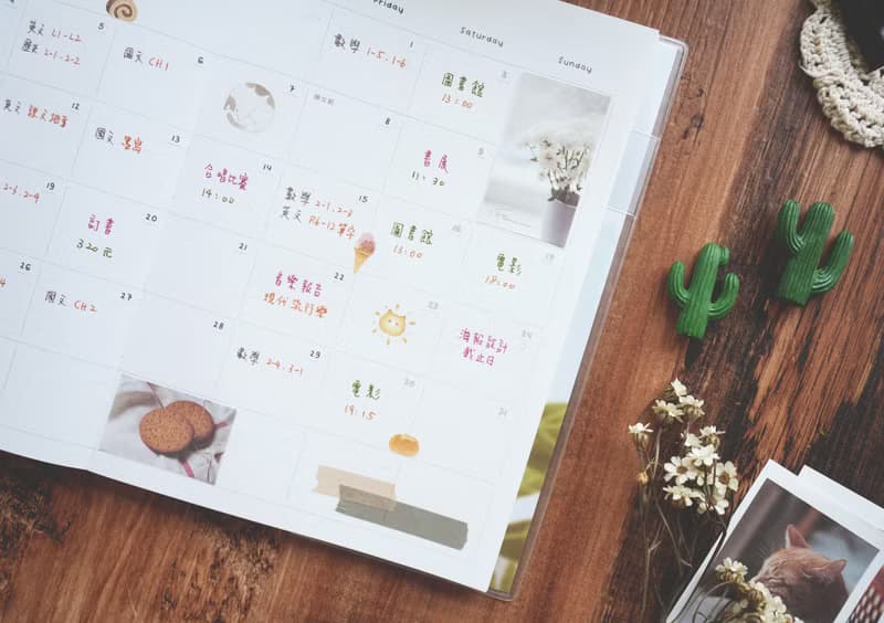 迪夢奇 Step by Step 一年計劃 v.6 冬日 無時效