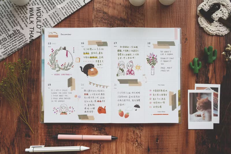 迪夢奇 Step by Step 一年計劃 v.6 冬日 無時效