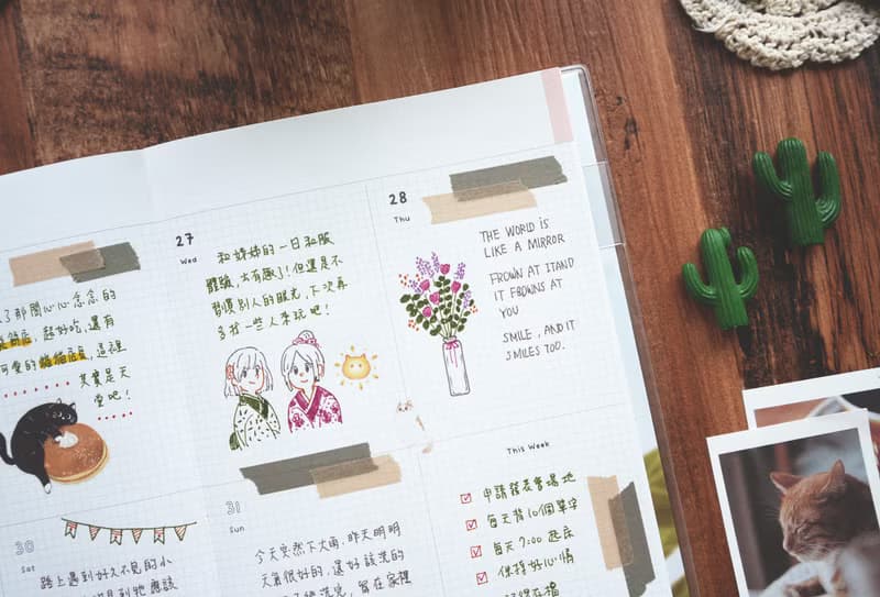 迪夢奇 Step by Step 一年計劃 v.6 冬日 無時效