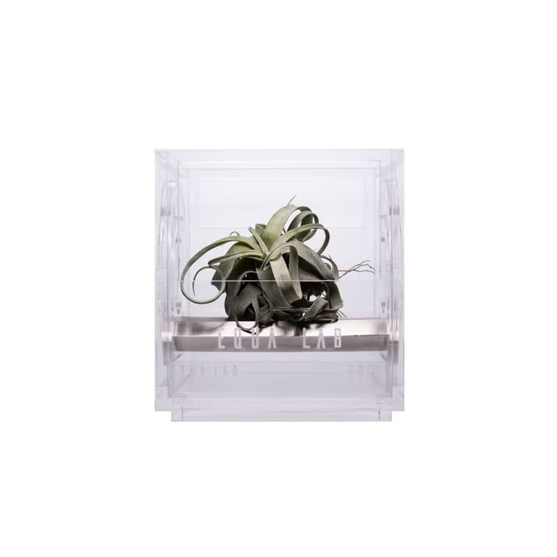 EQUALAB MFNVBOX 多功能自然景觀箱 空氣鳳梨模組 for Tillandsia
