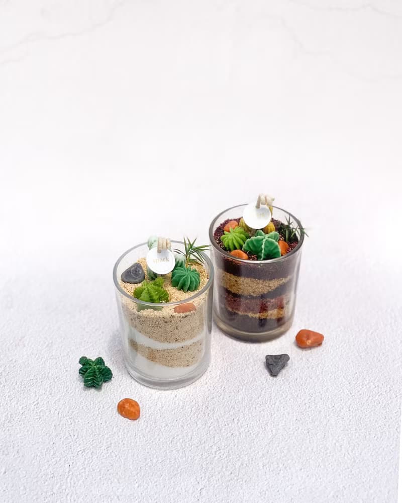 多肉植物漸層蠟燭 | 手工仙人掌香氛蠟燭