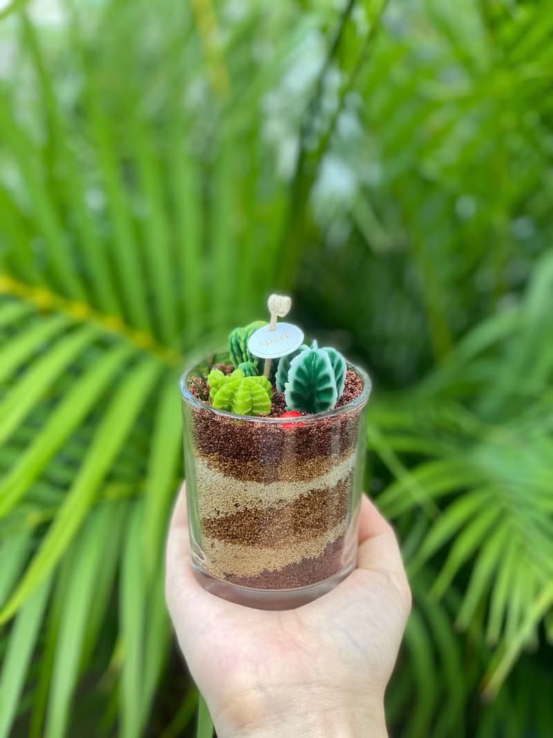 多肉植物漸層蠟燭 | 手工仙人掌香氛蠟燭