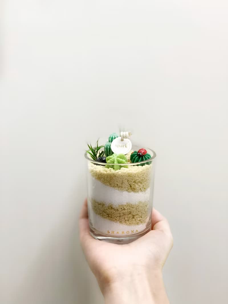 多肉植物漸層蠟燭 | 手工仙人掌香氛蠟燭