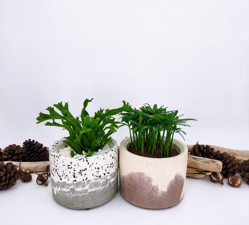 水泥花器│水泥盆栽│水泥植栽(不含植物)│