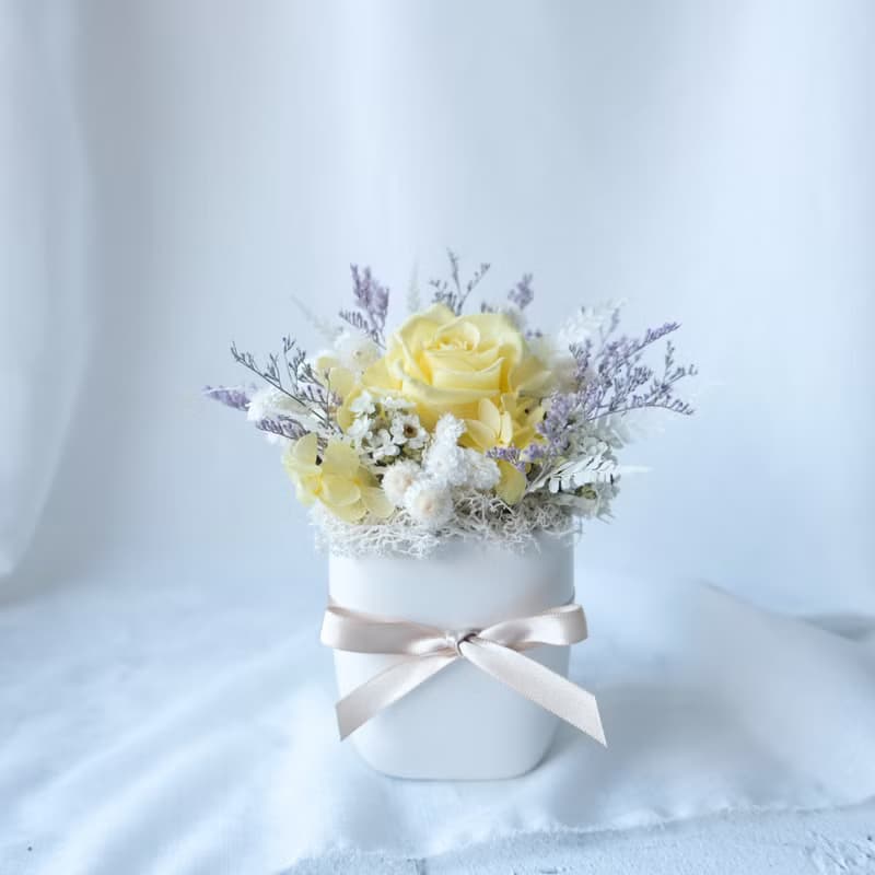 【小盆花】盆栽/粉色/不凋花/永生花/乾燥花/七夕/情人節