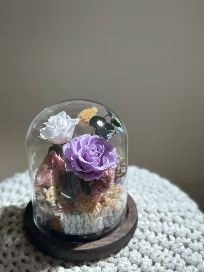 浪漫粉永生玫瑰花花玻璃罩 禮物 情人節禮物 花禮