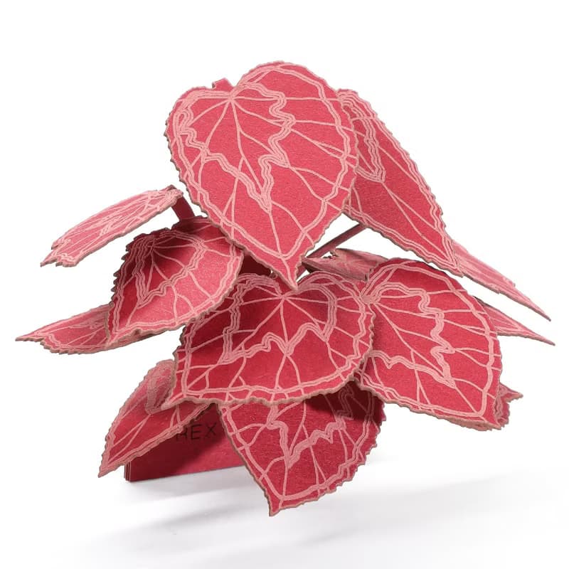 【立體植物紙雕】 FingerART紙藝術 DIY植物相框 (F-004 Set A)