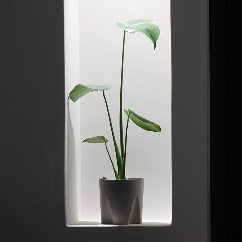 水泥教堂 | 免移盆水泥盆器