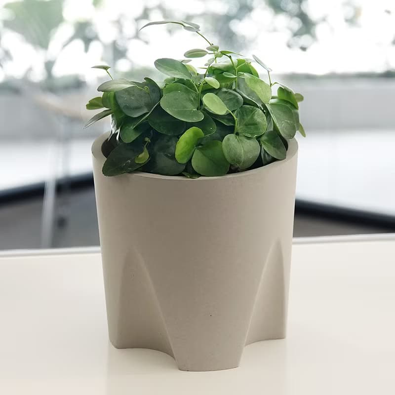 水泥教堂 | 免移盆水泥盆器