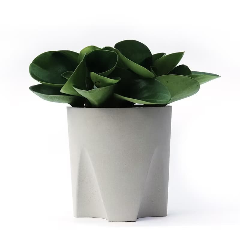 水泥教堂 | 免移盆水泥盆器