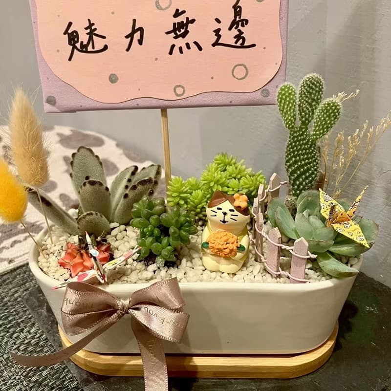 小花 貓 台中多肉組盆 多肉植物 植栽送禮 仙人掌 日本decole