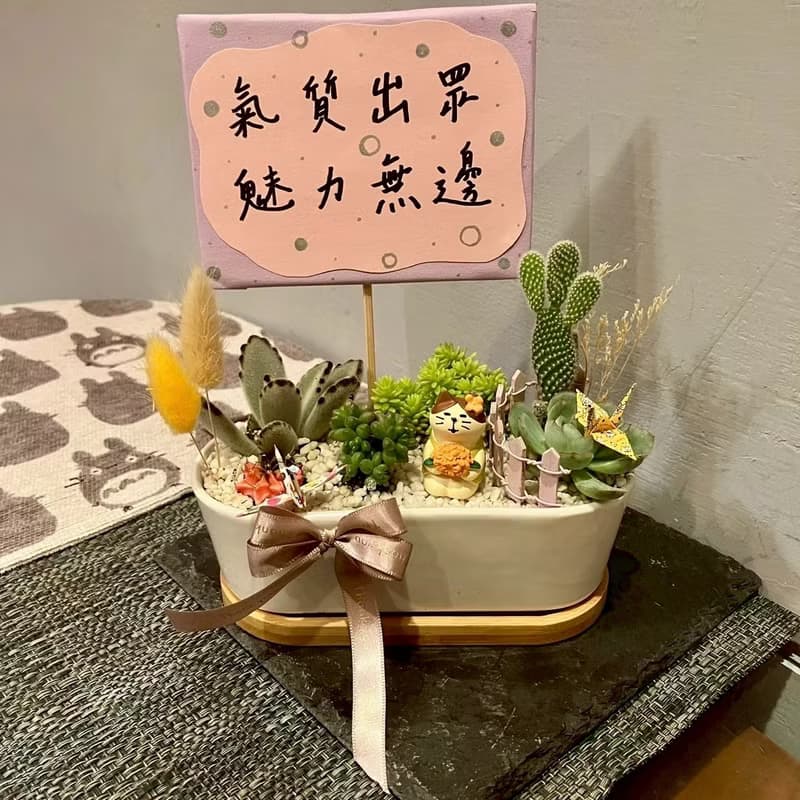 小花 貓 台中多肉組盆 多肉植物 植栽送禮 仙人掌 日本decole