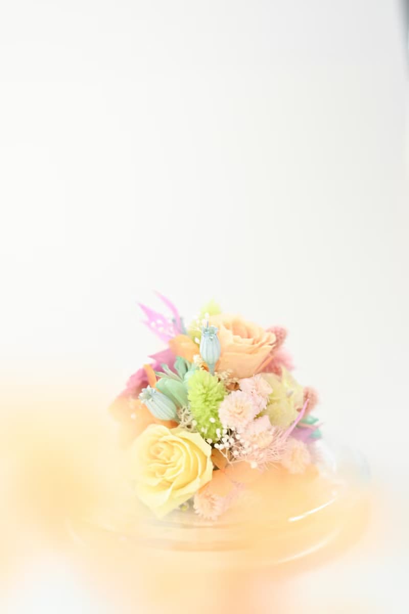 把最好的都給你 永生花系列作品  JOYFUL