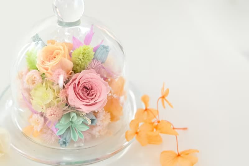 把最好的都給你 永生花系列作品  JOYFUL