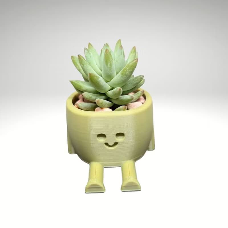【療癒打印所】【樹冰】多肉盆栽 小型盆栽 多肉植物 婚禮小物