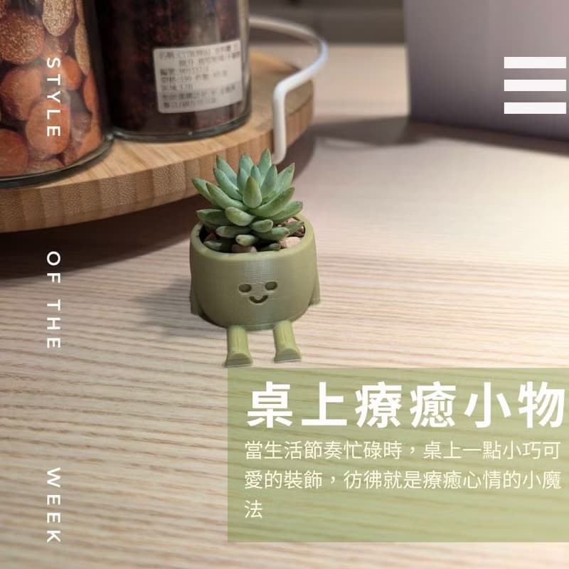 【療癒打印所】【樹冰】多肉盆栽 小型盆栽 多肉植物 婚禮小物