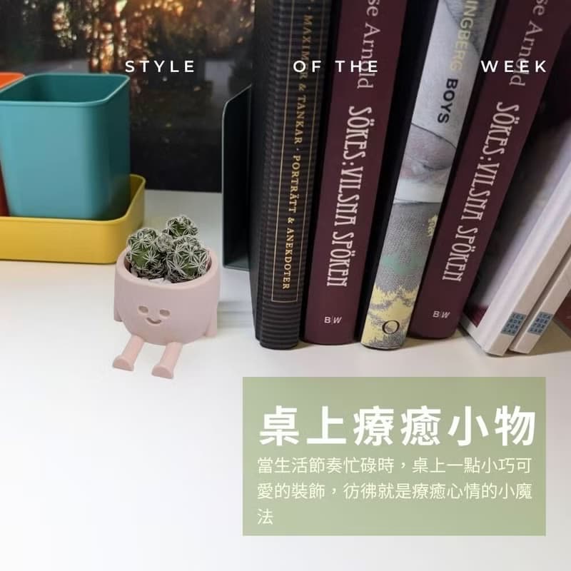 【療癒打印所】【多肉盆栽】可愛療癒花盆 小盆栽 多肉花盆
