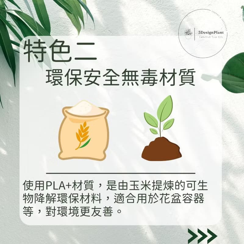 【療癒打印所】【樹冰】多肉盆栽 小型盆栽 多肉植物 婚禮小物