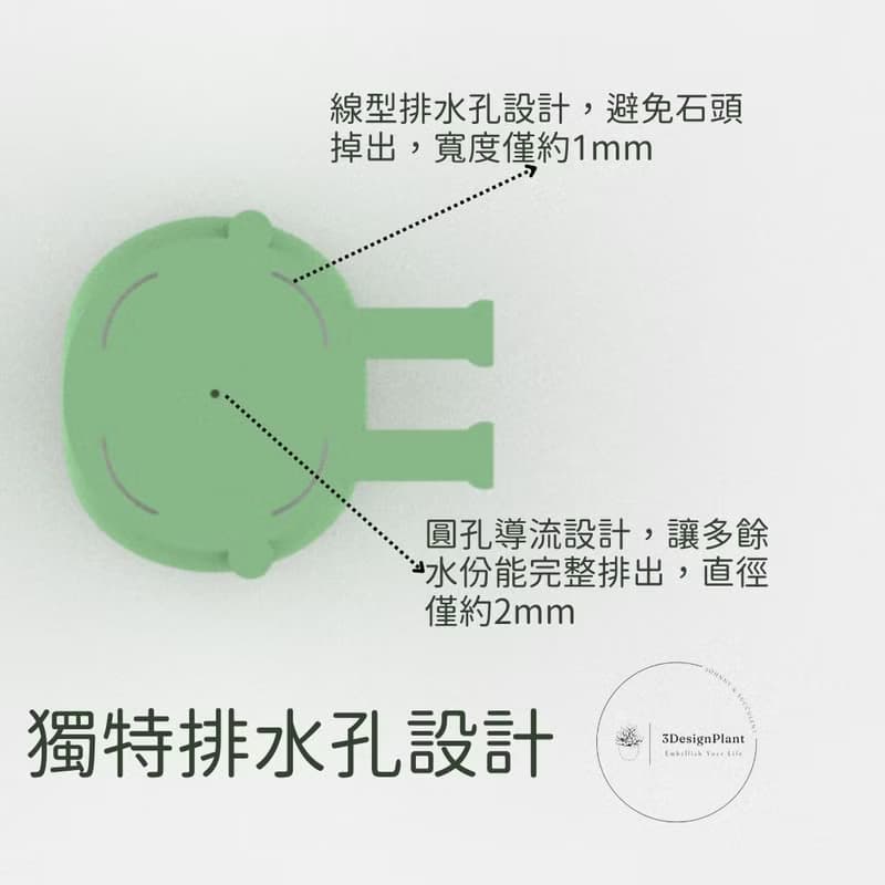 【療癒打印所】【樹冰】多肉盆栽 小型盆栽 多肉植物 婚禮小物